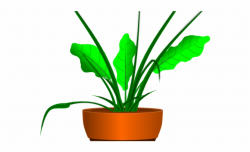 Potted Plants Clipart Aloe Vera - Cartoon Plant Pot No ...