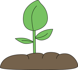 Cartoon plant clipart kid - Cliparting.com