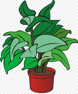Pot Leaf Cartoon clipart - Plants, Plant, Flower ...