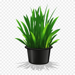 Clip Art Pot Plant Transparent Background - Png Download ...