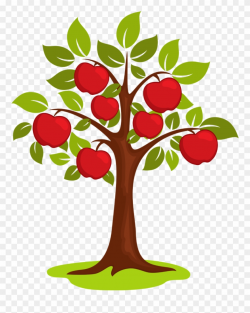 Tree,Plant,Leaf,Branch,Flower,Woody plant,Fruit,Botany,Holly ...