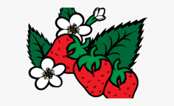 Plants Clipart Strawberry - Strawberries Clipart Cartoon ...