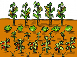 Free Planting Garden Cliparts, Download Free Clip Art, Free ...