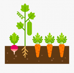 Caring Clipart Care Plant - Vegetable Garden Clipart #399001 ...