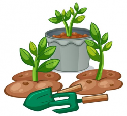 Plants and gardening equipments - Download Free Vectors ...