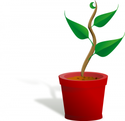 Free Potted Plant Cliparts, Download Free Clip Art, Free ...
