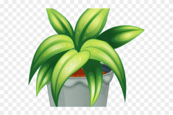 Pot Plant Clipart Baby - Plants Cartoon Psd, HD Png Download ...