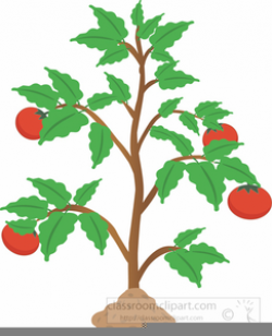 Free Clipart Shrub | Free Images at Clker.com - vector clip ...
