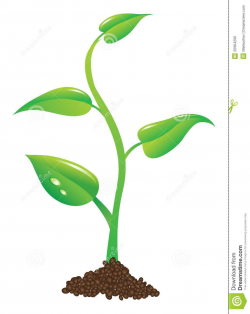 Free Potted Plant Cliparts, Download Free Clip Art, Free ...