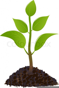 Free Clipart Of Planting Seeds | Free Images at Clker.com ...