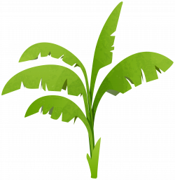 Green Plant Transparent PNG Clip Art Image | Gallery ...