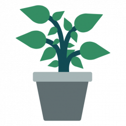 Flowerpot with plant clipart - Transparent PNG & SVG vector