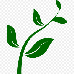 Green Grass Background clipart - Plants, Leaf, Green ...