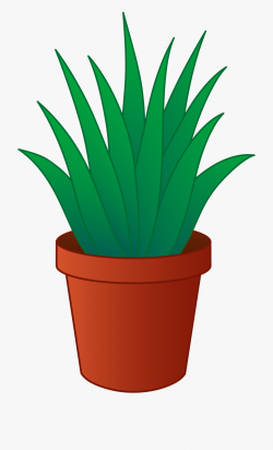 Plant Clipart Free - Transparent Background Plant Clipart ...