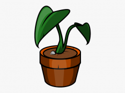 Potted Plants Clipart Transparent Background - Clip Art ...