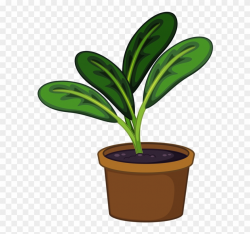 Pot Plant Clipart Transparent - Plants In Pots Clipart - Png ...