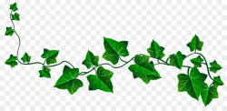 Ivy Vine Clip art - Ivy Cliparts | Ivy draw, Family tree ...