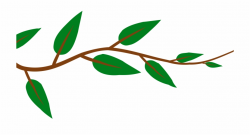 Download for free 10 PNG Leaves clipart vine top images at ...