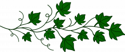 Free Free Vine Cliparts, Download Free Clip Art, Free Clip ...