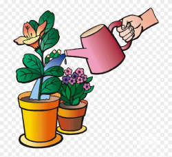 Water Plants Clip Art - Png Download (#3111275) - PinClipart
