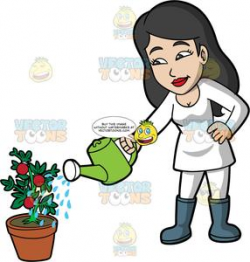 A Woman Watering A Tomato Plant