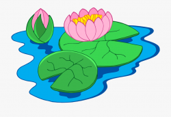 Nymphaea Alba Clip Art - Water Lily Plant Clipart ...