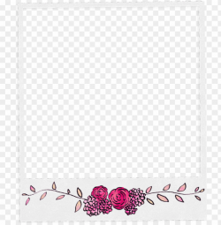 transparent aesthetic polaroid PNG image with transparent ...
