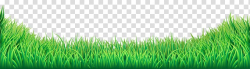 Lawn , Grass , green grass transparent background PNG ...