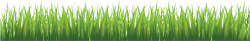 Grass PNG images, pictures