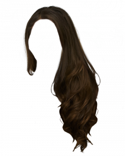 Portable Network Graphics Hairstyle Clip art Wig - hair png ...