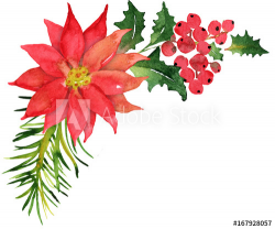 Christmas bouquet with poinsettia and berries - Buy this stock ...