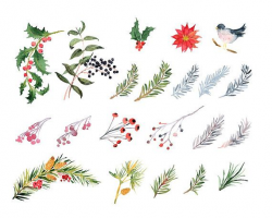 CHRISTMAS watercolor clipart Poinsettia clipart Watercolour bundle ...