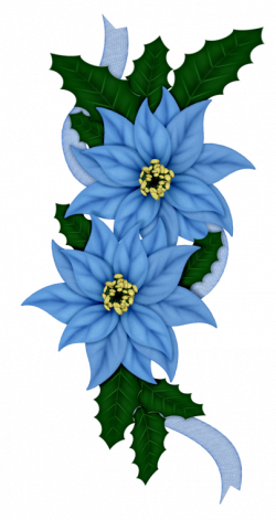 BLUE POINSETTIA * | CLIP ART - CHRISTMAS 3 - CLIPART | Christmas ...