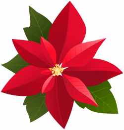 Free Poinsettia Clipart | Free download best Free Poinsettia Clipart ...