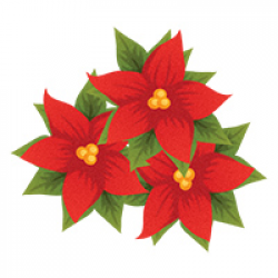 Free Poinsettias Cliparts, Download Free Clip Art, Free Clip Art on ...