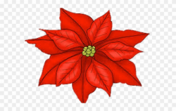 Poinsettia Clipart Transparent Background - Png Download (#3103095 ...