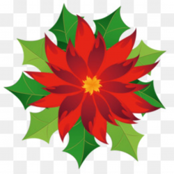 Free download Christmas Poinsettia Clipart png.