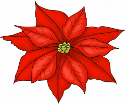 Poinsettia Freebie Printable...would make cute Christmas cards ...