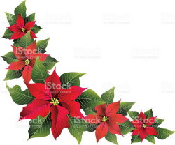 Poinsettias clipart poinsetta - 144 clip arts for free download on ...