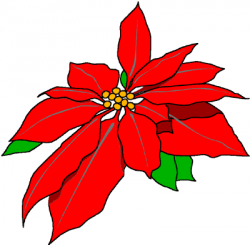 Free Poinsettia Cliparts Free, Download Free Clip Art, Free Clip Art ...