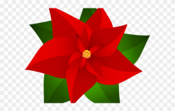 Poinsettia Clipart Top Border - Drawing Christmas Flower Poinsettia ...