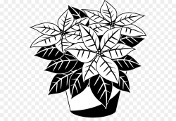 Drawing, Flower, Plant, transparent png image & clipart free download