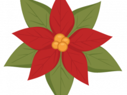 Poinsettia Flower Drawing | Free download best Poinsettia Flower ...