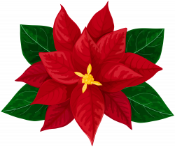 kisspng-poinsettia-drawing-clip-art-5ae70ed73e4b90 ...