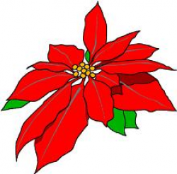 Free Poinsettia Flower Cliparts, Download Free Clip Art, Free Clip ...