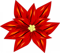 Free Poinsettia Flower Cliparts, Download Free Clip Art, Free Clip ...