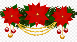 Poinsettia Fir png download - 5980*3196 - Free Transparent ...
