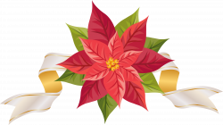 Free Poinsettia Border Cliparts, Download Free Clip Art, Free Clip ...
