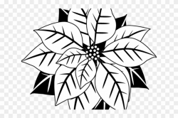 Poinsettia Clipart Black And White - Black And White Mistletoe, HD ...