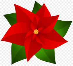 Poinsettia Christmas decoration Flower Joulukukka - mistletoe png ...